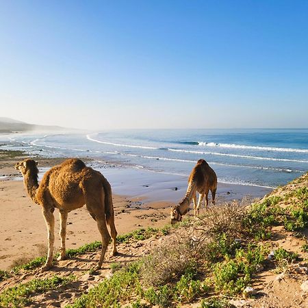 ホテル Casa Janoub Morocco Tamraght エクステリア 写真