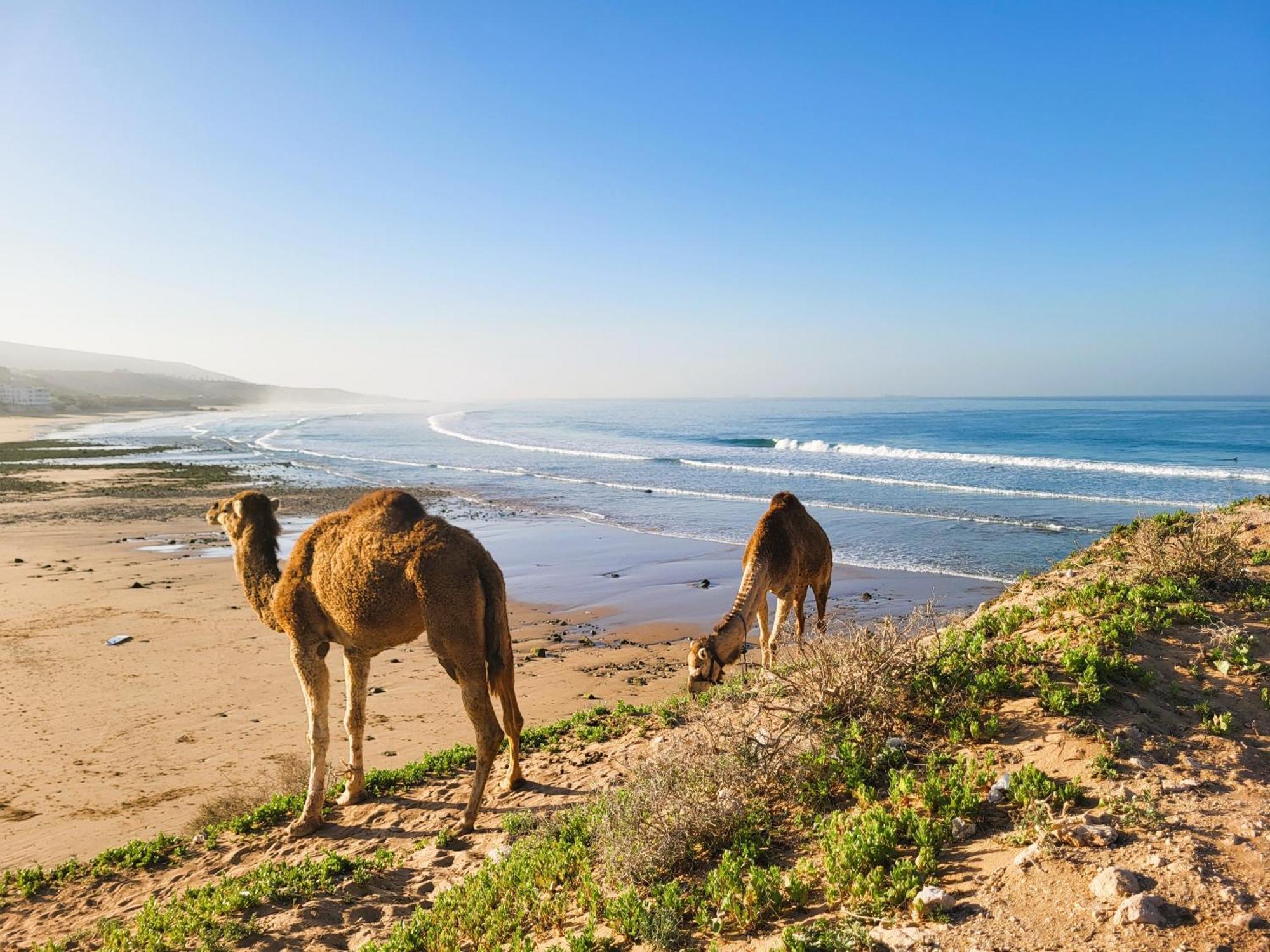 ホテル Casa Janoub Morocco Tamraght エクステリア 写真